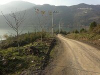 2015-12-20-2275.jpg 2015-12-20-2275.jpg