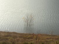 2015-12-20-2279.jpg 2015-12-20-2279.jpg