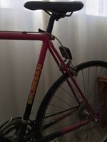 2015-12-20 15.05.08 HDR.jpg