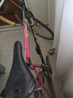 2015-12-20 15.06.02 HDR.jpg