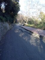 CAM00183.jpg CAM00183.jpg