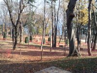 CAM00181.jpg CAM00181.jpg