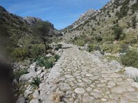 DSC02677.jpg DSC02677.jpg