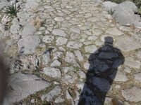 DSC02676.jpg DSC02676.jpg