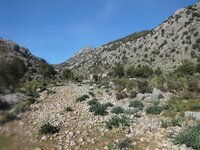 DSC02707.jpg DSC02707.jpg