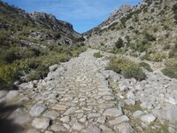 DSC02684.jpg DSC02684.jpg