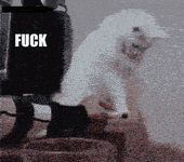 vdLE8dJ.gif vdLE8dJ.gif