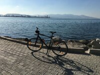 image.jpeg image.jpeg