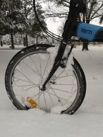 2016-01-04 12.03.51.jpg