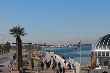 IMG_2143 (Large).JPG