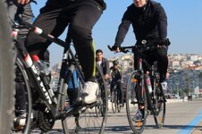 IMG_2117 (Large).JPG