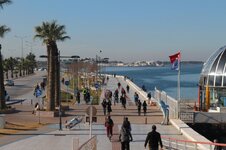 IMG_2145 (Large).JPG