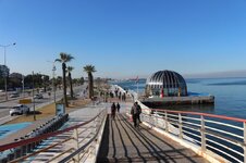 IMG_2144 (Large).JPG