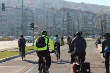 IMG_2113 (Large).JPG