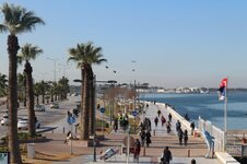 IMG_2146 (Large).JPG