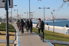 IMG_2147 (Large).JPG