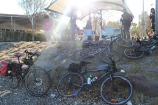 IMG_2155 (Large).JPG