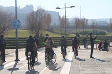 IMG_2078 (Large).JPG