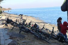 IMG_2157 (Large).JPG