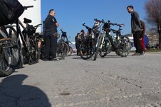 IMG_2049 (Large).JPG