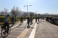 IMG_2077 (Large).JPG