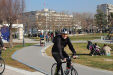 IMG_2071 (Large).JPG