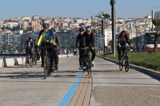 IMG_2115 (Large).JPG