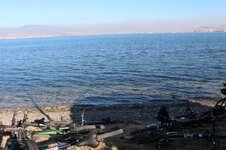 IMG_2161 (Large).JPG