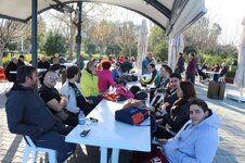 IMG_2166 (Large).JPG