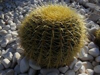 SAM_0651.JPG SAM_0651.JPG