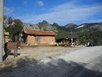 SAM_0669.JPG SAM_0669.JPG