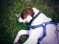 BsLwk5bIMAAjwya.jpg large.jpg