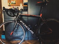 12669982_10207150950625756_1983282291_o.jpg 12669982_10207150950625756_1983282291_o.jpg