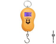 image.jpeg image.jpeg