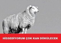 Byttyq8CcAA5sJK.jpg