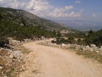 2015-10-05 13.44.39.jpg