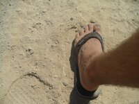 sam_0604.jpg sam_0604.jpg