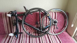 20160311_133034.jpg