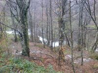 Foto473.jpg Foto473.jpg