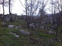 Foto516.jpg Foto516.jpg