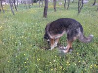 Foto518.jpg Foto518.jpg