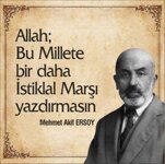 mehmet-akif-e.jpg