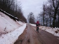 2016-03-19 10.36.44.jpg