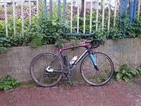 2016-03-19 14.44.55.jpg