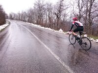 2016-03-19 09.57.12.jpg