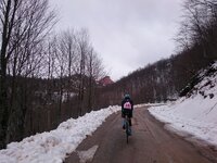 2016-03-19 10.33.23.jpg