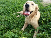 2013-01-18 15.45.37.jpg