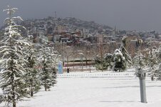 IMG_3779.JPG