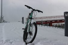 IMG_3782.JPG