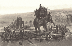 hannibal elephant.gif